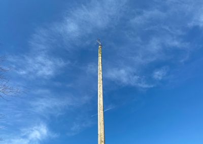 Maypole against blue sky