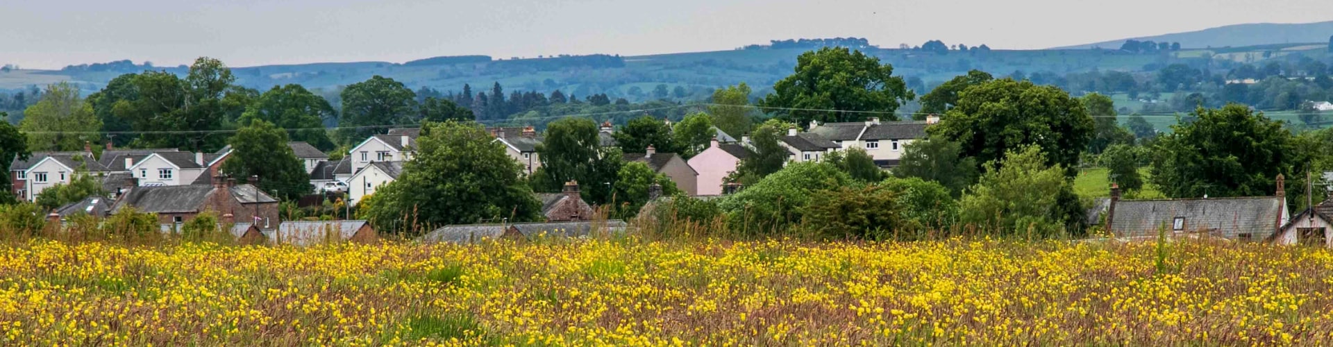 Temple Sowerby Village across a field of flowers